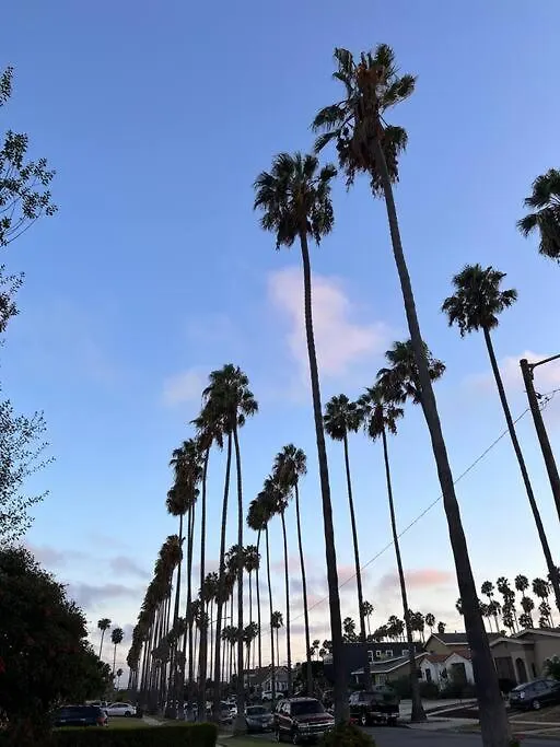 Lovely Little Cottage Close To Forum,Sofi,Lax Los Angeles United States